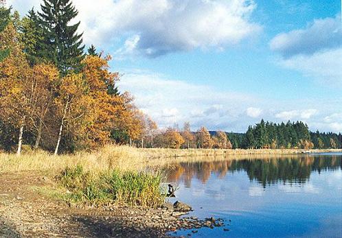 Pohled od hráze Horního Padrťského rybníka k vrcholu Praha patří na podzim k nejkrásnějším ve středních Brdech.