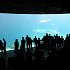 Mořský svět se svými obrovskými akvárii