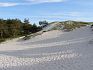 Písečné duny v Dueodde