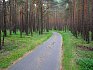 Cyklostezka Odra-Nisa skrze les v okolí Podrosche