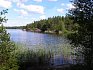 Jezero Ålsjön s lesy plnými borůvek