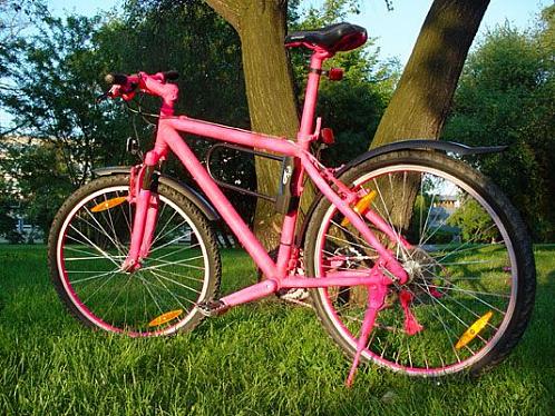 Růžové kolo