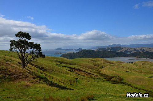 Z Whitianga do Hahei