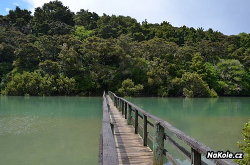 Whaitangi Track k Haruru Falls