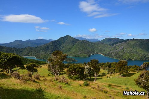 Queen Charlotte Track