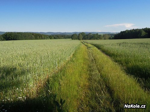 Krajina České Sibiře