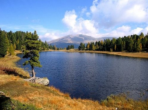 Šumava