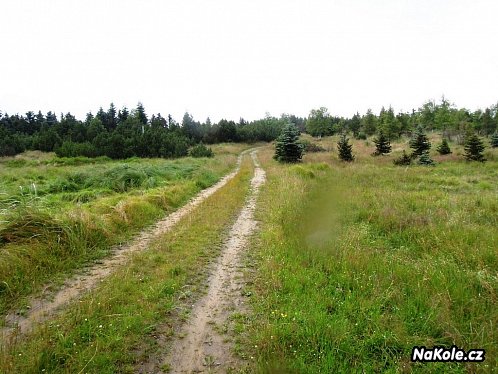 Cesta po bezlesém vrcholku Krušných hor