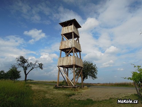 Rozhledna nad obcí Modrá