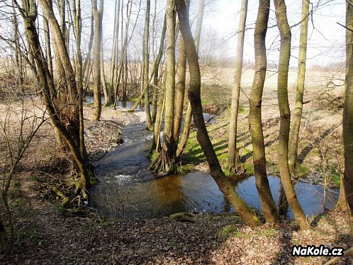 Malebně meandrující Botič nad Petrovicemi