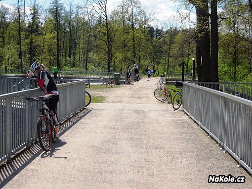 Cyklisté u rozvodí Lužnice a Nové řeky