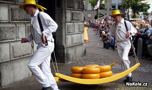 Gouda