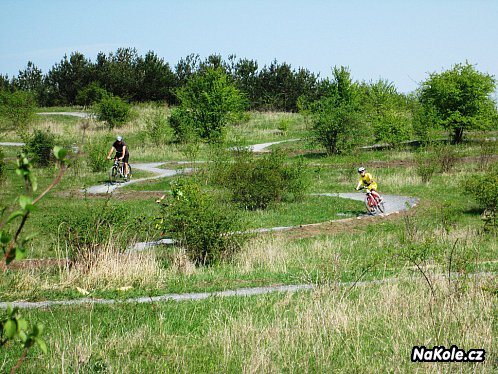 Singltrail Letňany