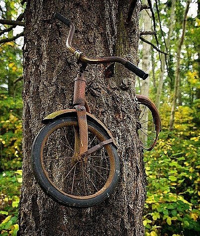 Bike Tree