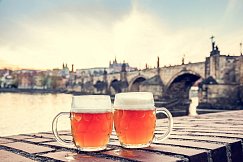  (licencia NATALIS/ shutterstock.com)