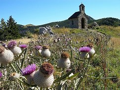 Velebit