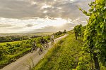 Region Waldviertel ((c) Niederösterreich Werbung / Robert Herbst)