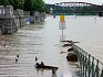 Náplavka na Výtoni tentokrát bez farmářských trhů