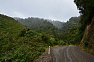 Cesta z Murupara k jezeru Waikaremoana