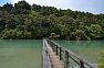 Whaitangi Track k Haruru Falls