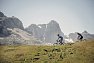 Dolomiti di Brenta, Marmutel Tour