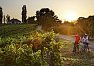 Výlet na kole podél rakouských vinic