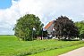 Vlajky se srdcem - symbolem Fríska - jsou na mnoha zahradách v sousedství s těmi nizozemskými. Fríština je druhý oficiální jazyk provincie.
