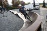 Pumptrack v akci