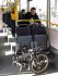 Dahon Vitesse v autobuse...