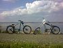 SRAZ CRUISER BIKES