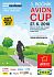 AvionCup 2010
