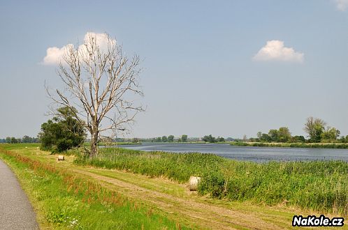 Odra před Gartzem