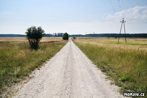 Silnice 3. třídy dočasně opouští lesy