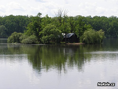 Třeboňský rybník Svět