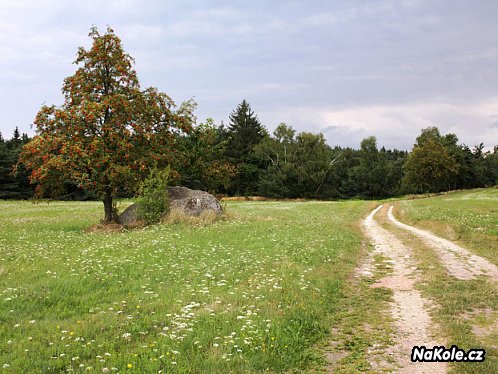 Malebná krajina České Kanady